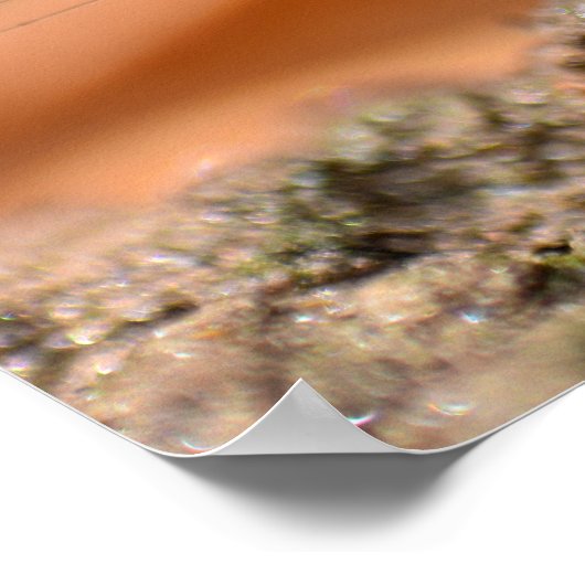 エジンタージュ ポスター (角)