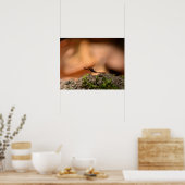 エジンタージュ ポスター (キッチン)