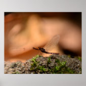 エジンタージュ ポスター (正面)