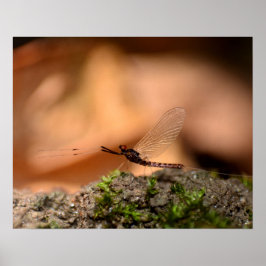 エジンタージュ ポスター