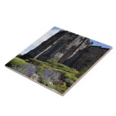 エジンバラ，スコティッシュ国家戦争記念碑 タイル (側面)