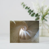 エスカレデカラコールブルゴスエスパーニャ ポストカード (スタンド正面)