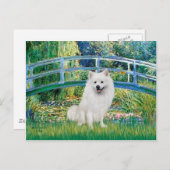 エスキモスピッツ1 – ブリッジ ポストカード (正面/裏面)