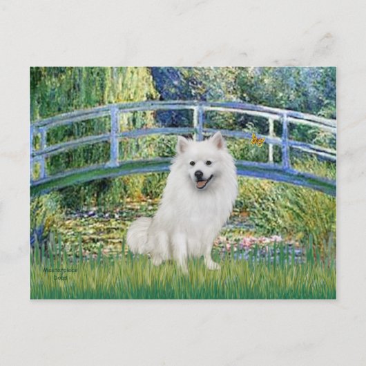 エスキモスピッツ1 – ブリッジ ポストカード (正面)