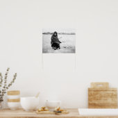 エスキモー氷魚釣りinノーム，アラスカ写真 ポスター (キッチン)