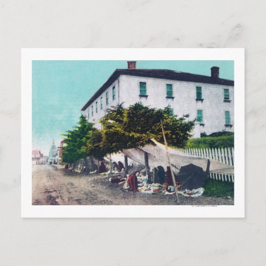 エスキモー・キュリオ・ベンダーズ・シトカの眺め ポストカード (正面)