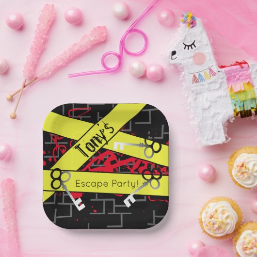 エスケープパーティー誕生日迷路鍵ミステリーミックス ペーパープレート (パーティー)