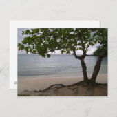 エスコンディドビーチ ポストカード (正面/裏面)