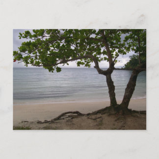 エスコンディドビーチ ポストカード