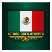 エスタドスユニドスメキシカノス(F10) ポスター (正面)