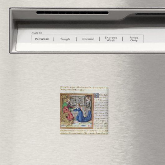 エスター マグネット (インサイチュ (食洗機))