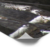 エステスパークコロラドポスター ポスター (角)