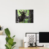 エステスパークコロラドポスター ポスター (ホームオフィス)