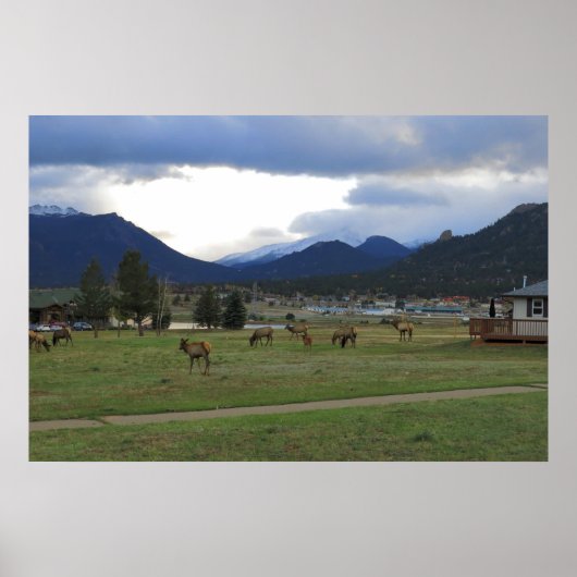 エステスパーク ポスター (正面)