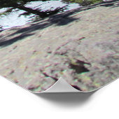 エステス威厳のあるパークコロラドポスターの自然 ポスター (角)