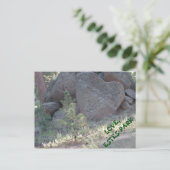 エステス・パーク・ラブ。 ポストカード (スタンド正面)