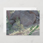 エステス・パーク・ラブ。 ポストカード (正面/裏面)