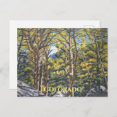 エステス《植物》アスペン名勝エステス国立公園はがき ポストカード (正面/裏面)