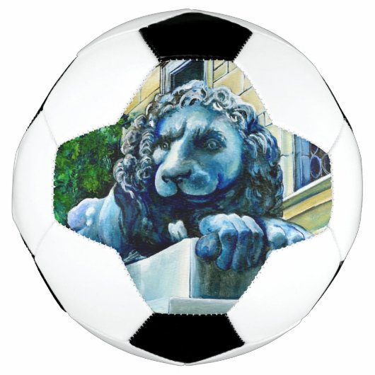 エステメド・フェリン サッカーボール (正面)