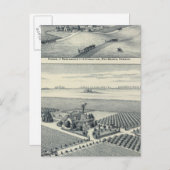 エステラブランカヴィネヤード,カリフォルニア ポストカード (正面/裏面)