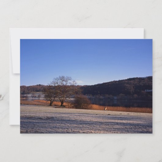 エストウィートウォーターウィンターホリデーカード シーズンカード (正面)