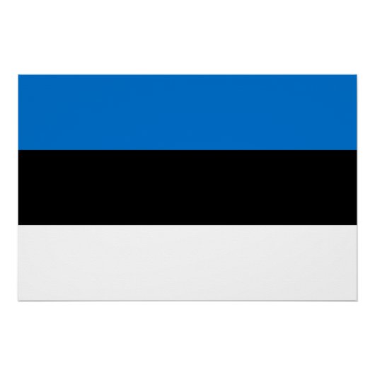 エストニアの国旗 ポスター (正面)