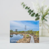 エストニアの湿地を通る木道 ポストカード (スタンド正面)