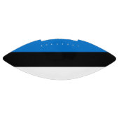 エストニア国旗を持つ愛国的なアメリカンフットボール アメリカンフットボール (パネル)