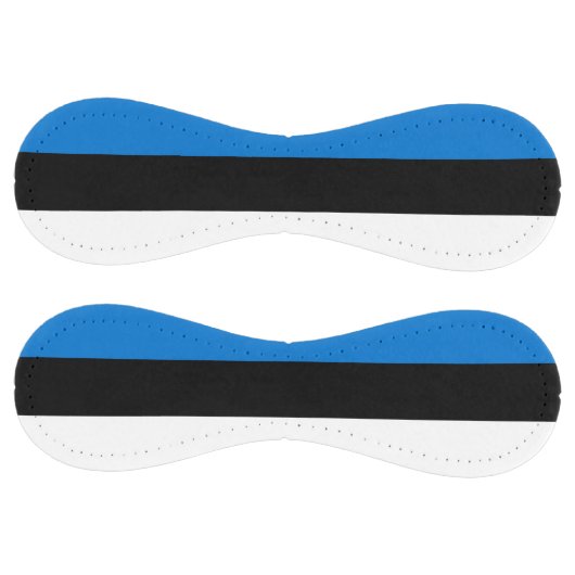 エストニア国旗を持つ愛国的ソフトボール ソフトボール (パネル)