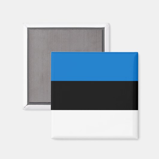 エストニア国旗を掲げた磁石 マグネット (正面/裏面)