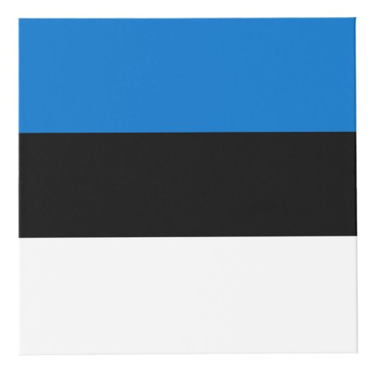 エストニア国旗 フォトキューブ (右)