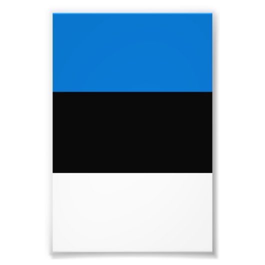 エストニア国旗 フォトプリント            (正面)