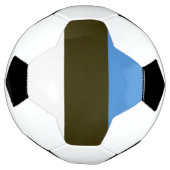エストニア サッカーボール (回転)