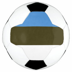 エストニア サッカーボール