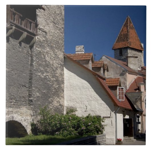 エストニア、タリン。タリンは少し〜だ タイル (正面)