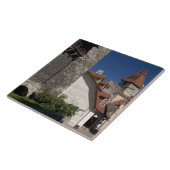 エストニア、タリン。タリンは少し〜だ タイル (側面)