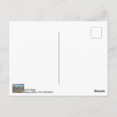 エストニア、ヴィルヤンディのポストカード! ポストカード (裏面)