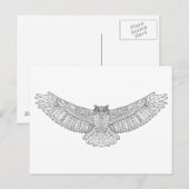 エスニックパターン（の模様が）あるイーグルフクロウ ポストカード (正面/裏面)