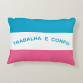 エスピリト・サント、ブラジル国旗 アクセントクッション (裏面)