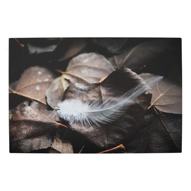 エスプレッソエレガントカラーの白い羽離れ毛 メタルプリント (正面)