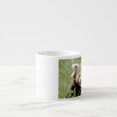 エスプレッソカップ写真レッドパンダ。 エスプレッソカップ (正面)