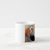 エスプレッソカップ写真レッドパンダ。 エスプレッソカップ (正面)