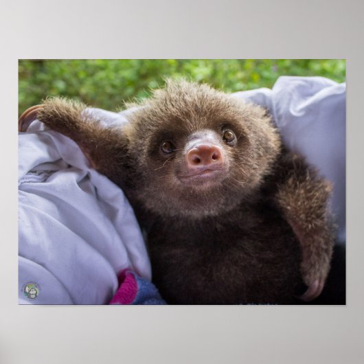 エスプレッソポスター ポスター (正面)