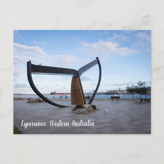 エスペランスエスプラネードウエスタンオーストラリア葉書 ポストカード (正面)