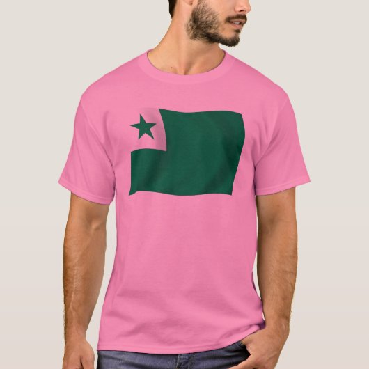 エスペラントの旗シャツ Tシャツ (正面)