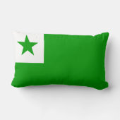 エスペラント国旗 ランバークッション (裏面)