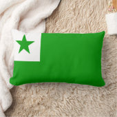 エスペラント国旗 ランバークッション (ブランケット)