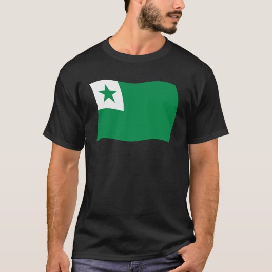 エスペラント旗Tシャツ Tシャツ (正面)