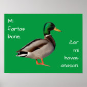 エスペラント語: Mi fartas bone, ĉar mi havas anason. ポスター (正面)