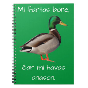 エスペラント: Miのfartasの骨、ĉar mi havas anason. ノートブック